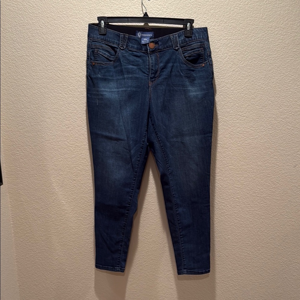 Democracy “Absolution” Ankle Jeans with Modern Denim Appeal